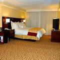 ?¤???‚?????€?°?„???? ???‚?µ?»?? St. Petersburg Marriott Clearwater Guest Room ?¤???‚?????€?°?„???? ???‚?µ?»?? St. Petersburg Marriott Clearwater Guest Room